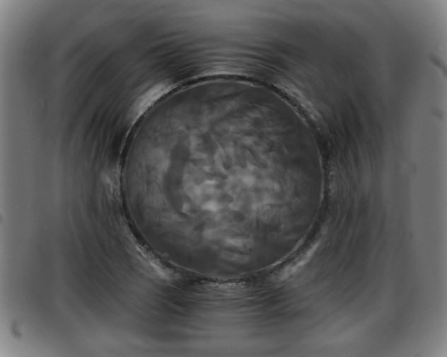 X0000096381121200801311253