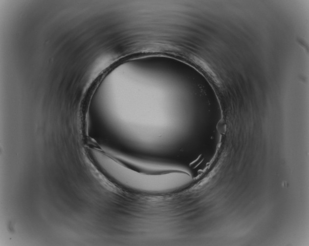X0000096381122200801311253