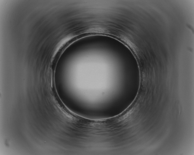 X0000096381123200801311253