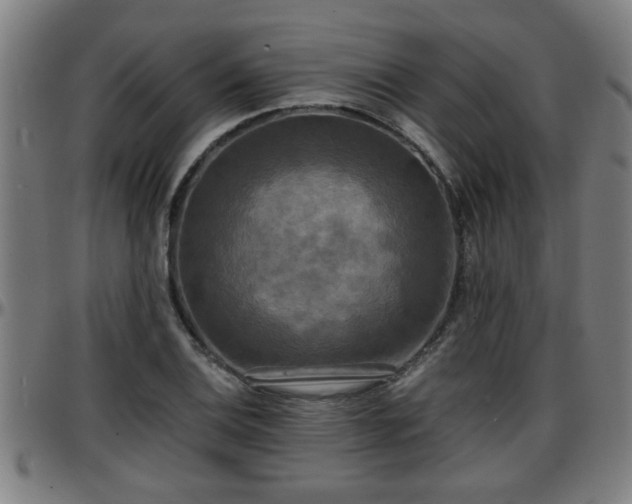 X0000096381124200801311253