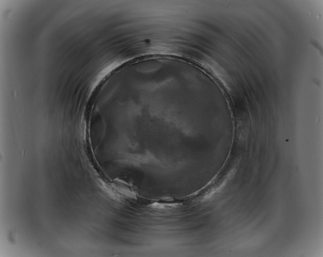 X0000096381125200801311253
