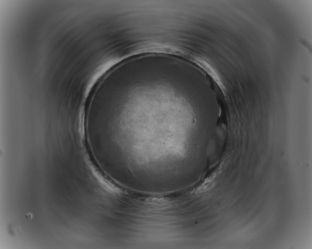X0000096381128200801311253