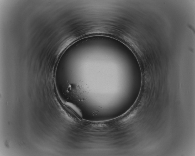 X0000096381129200801311253