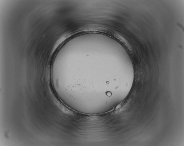 X0000096381130200801311253
