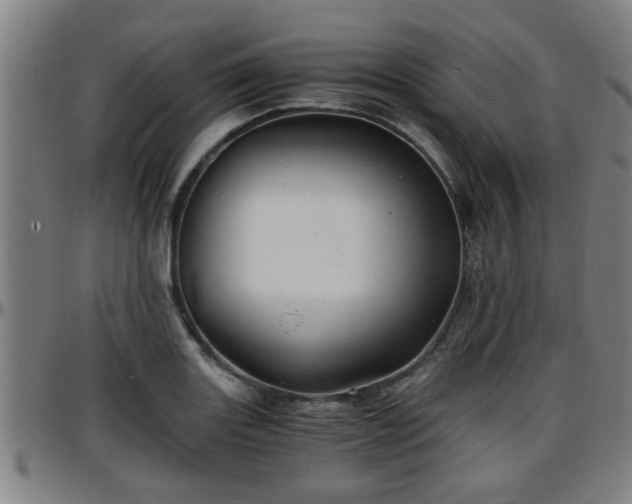 X0000096381131200801311253