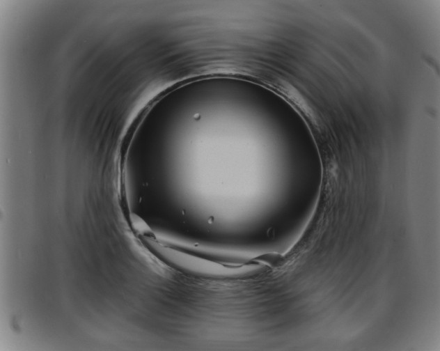 X0000096381132200801311253