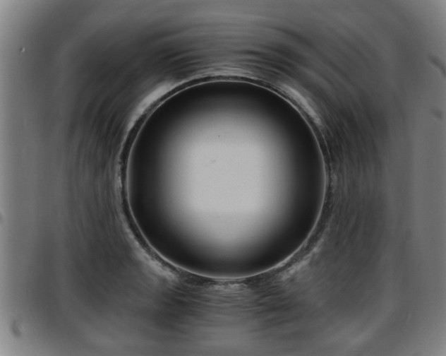 X0000096381133200801311253