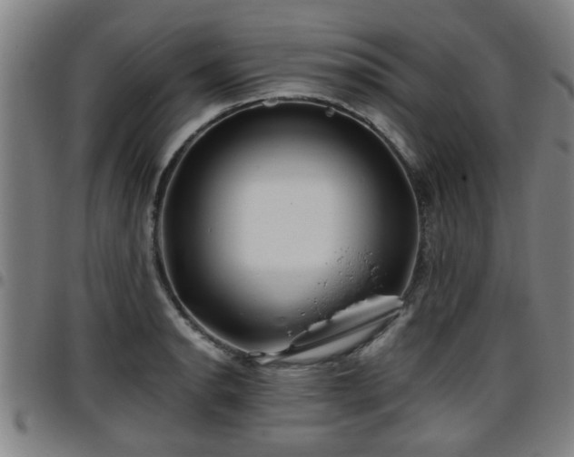 X0000096381134200801311253