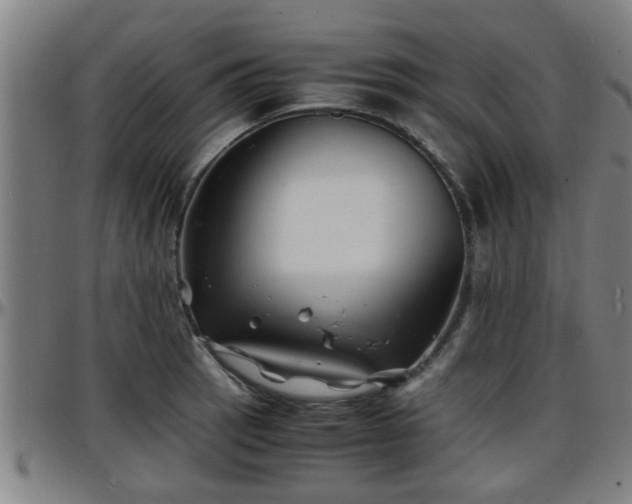 X0000096381137200801311253