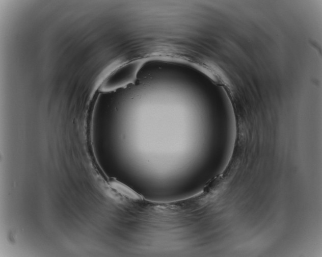 X0000096381138200801311253
