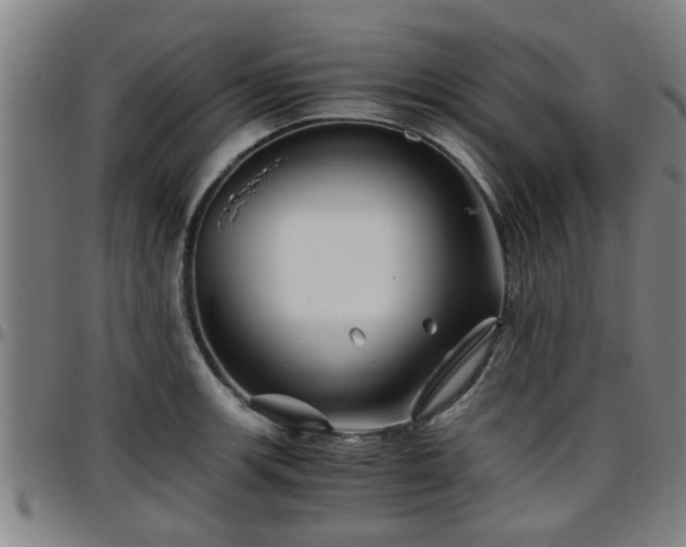 X0000096381139200801311253