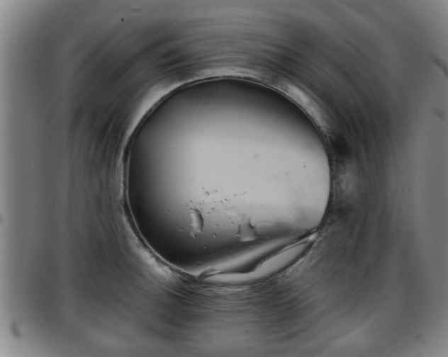 X0000096381140200801311253