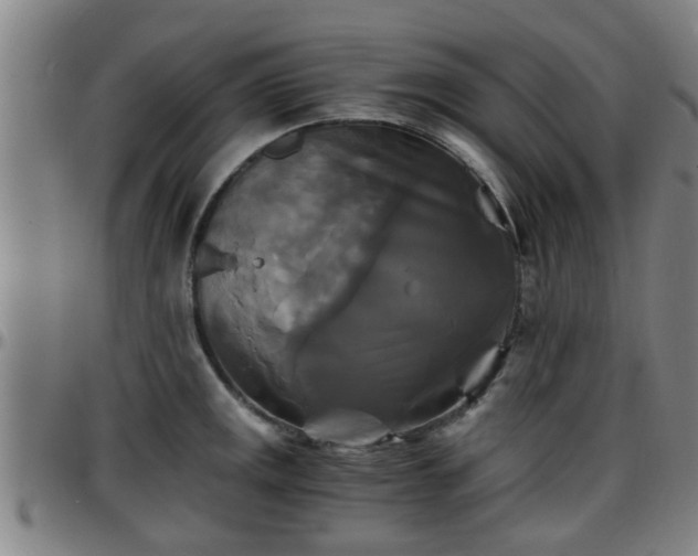 X0000096381141200801311253