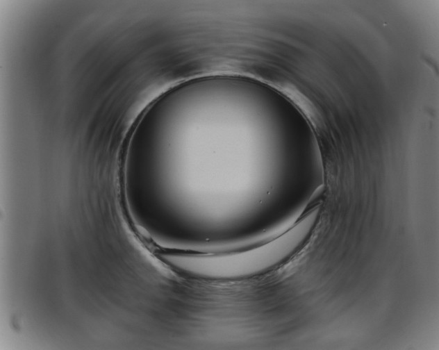 X0000096381142200801311253