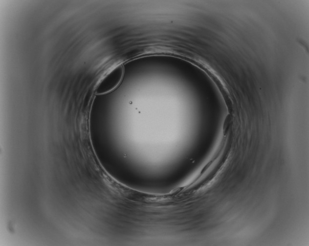 X0000096381145200801311253