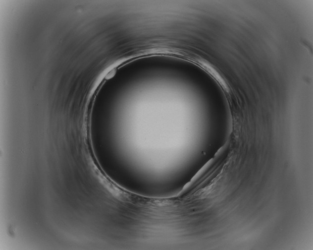 X0000096381148200801311253
