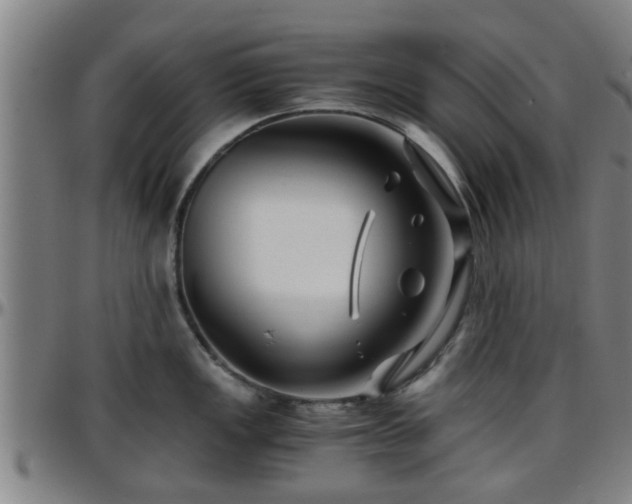 X0000096381149200801311253