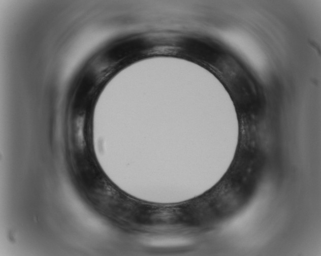 X0000096381150200801311253