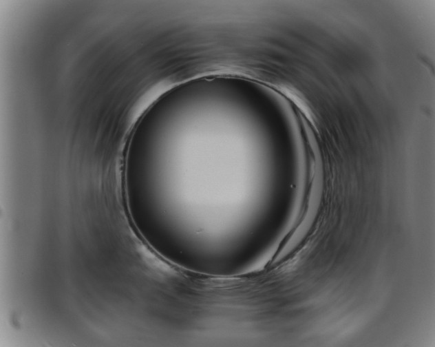 X0000096381151200801311253