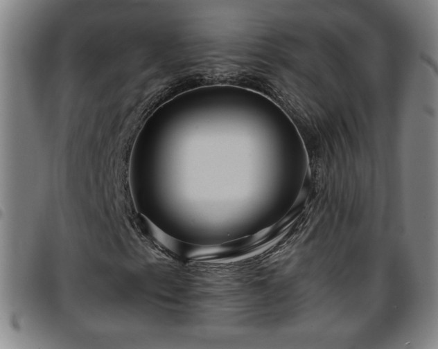 X0000096381153200801311253