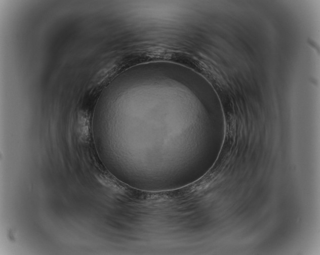 X0000096381154200801311253