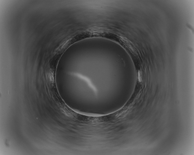 X0000096381155200801311253