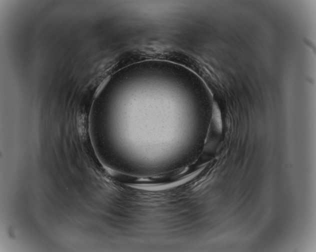 X0000096381156200801311253