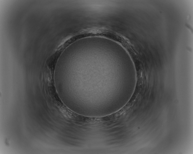 X0000096381158200801311253