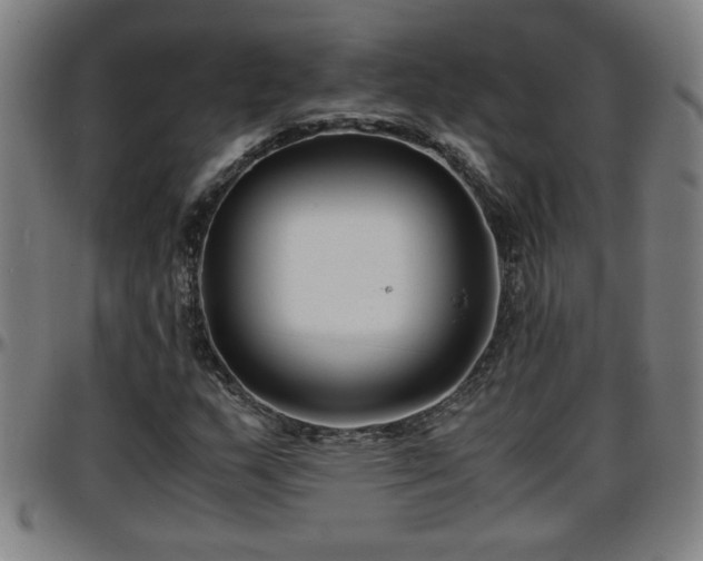 X0000096381159200801311253
