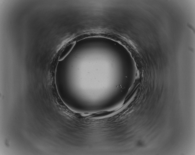 X0000096381160200801311253