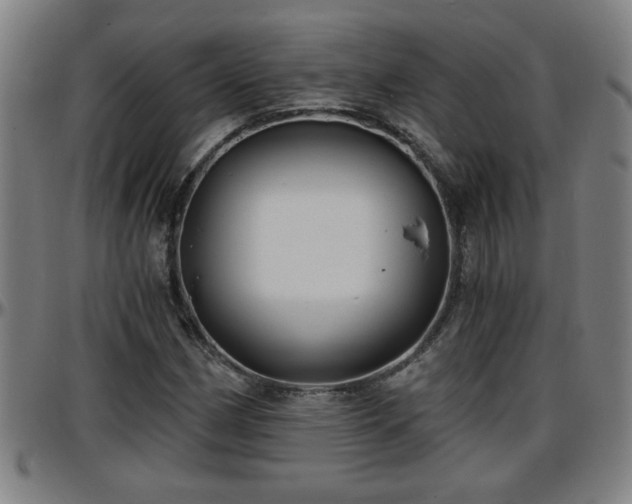 X0000096381162200801311253