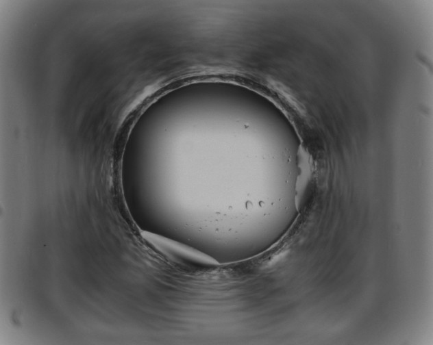 X0000096381165200801311253