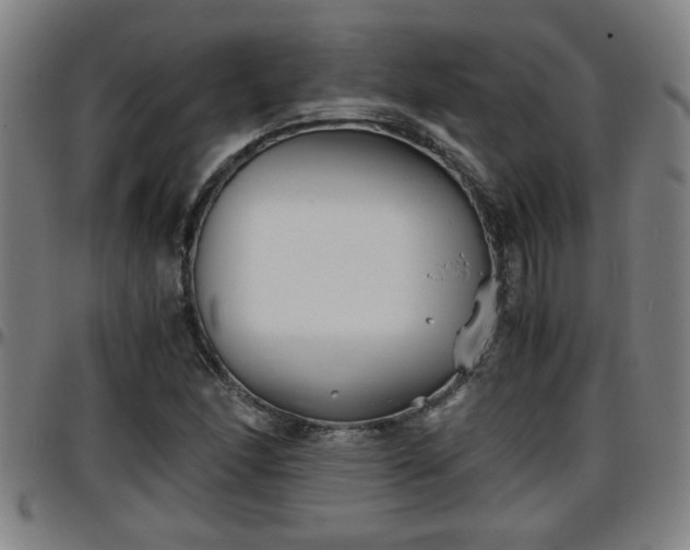 X0000096381166200801311253