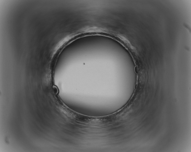 X0000096381167200801311253
