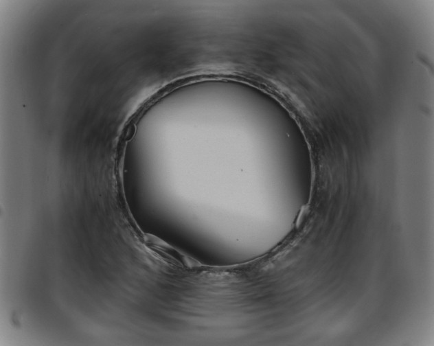 X0000096381168200801311253
