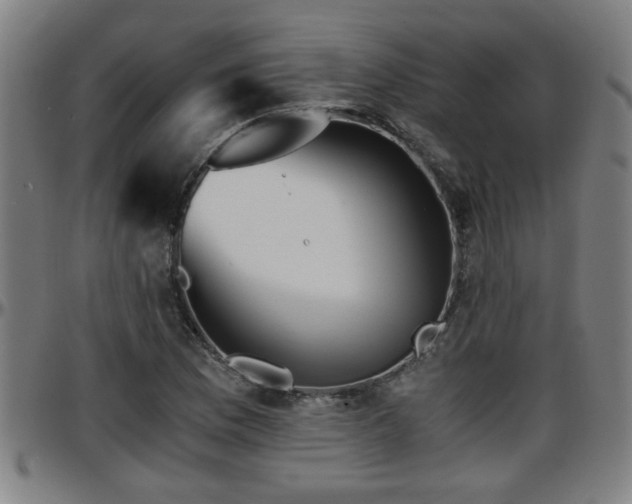 X0000096381169200801311253