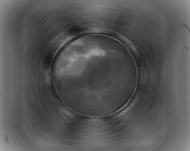 X0000096381170200801311253
