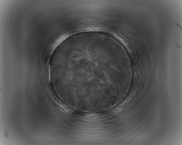 X0000096381171200801311253