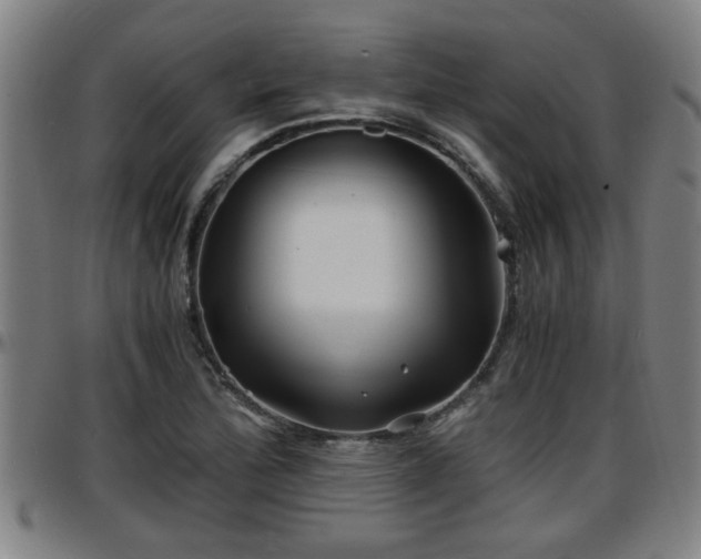 X0000096381172200801311253