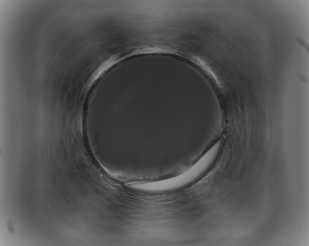 X0000096381173200801311253