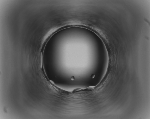 X0000096381175200801311253