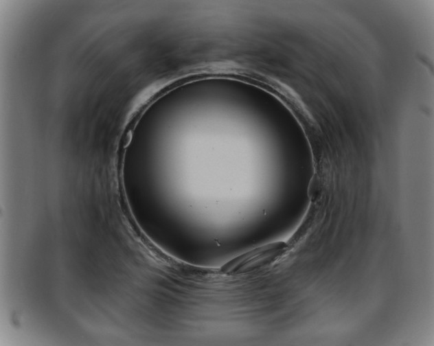 X0000096381176200801311253