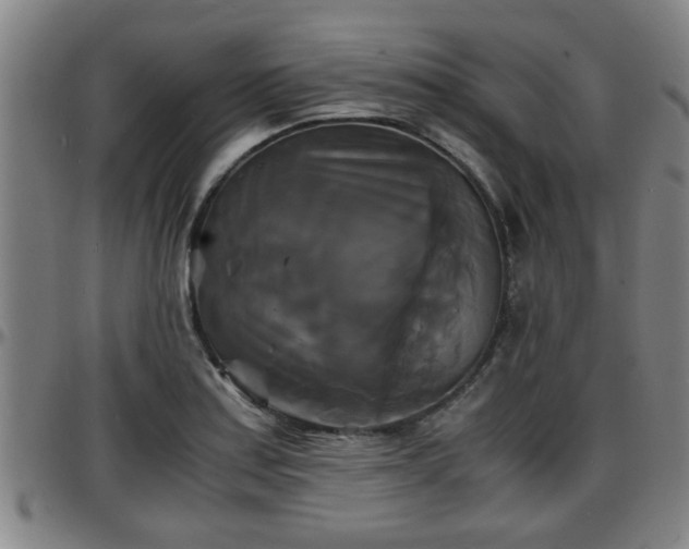 X0000096381179200801311253