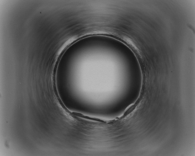 X0000096381181200801311252