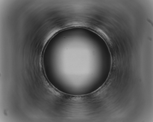 X0000096381182200801311252
