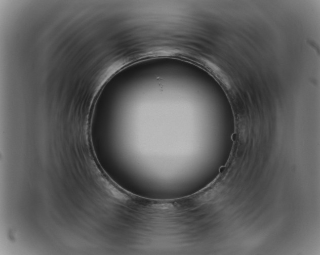 X0000096381186200801311252