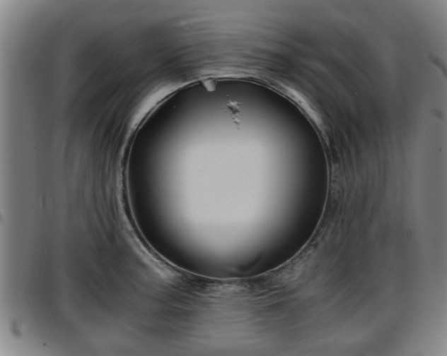 X0000096381187200801311252