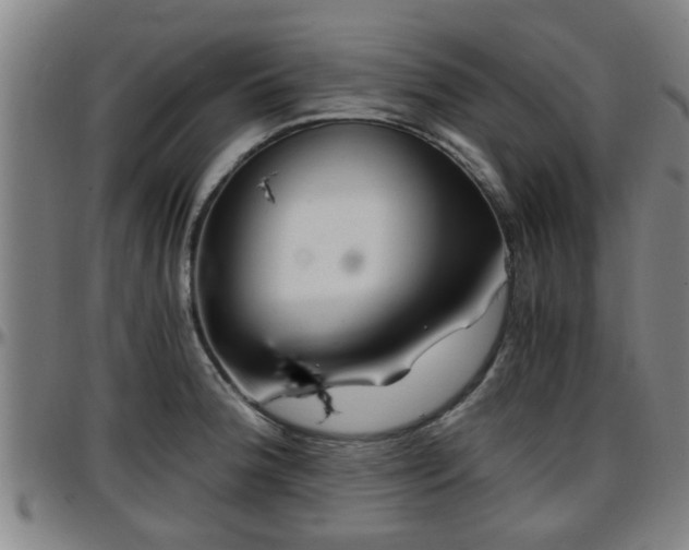 X0000096381188200801311252