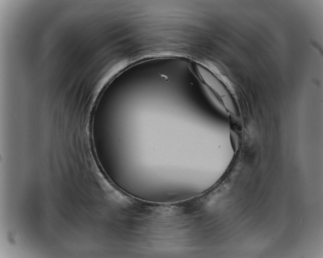X0000096381189200801311252