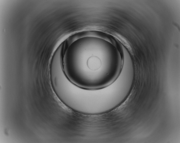 X0000096381192200801311252